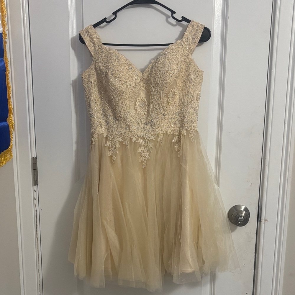 Elegant Cream Lace Mini Dress